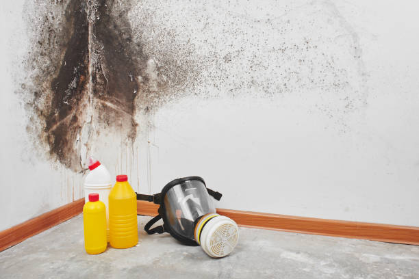 Best Water Damage Restoration  in Hrisburg, AR
