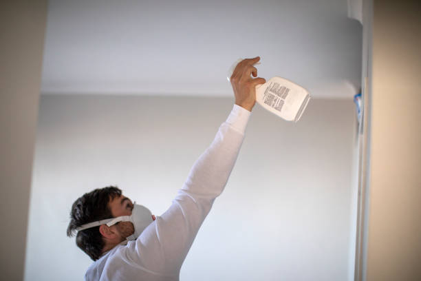 Best Mold Testing  in Hrisburg, AR